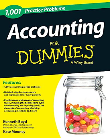 1,001 Accounting Practice Problems For Dummies 